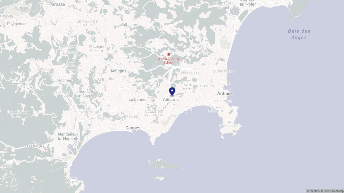 Aperçu cartographique de Vallauris, centré sur la commune