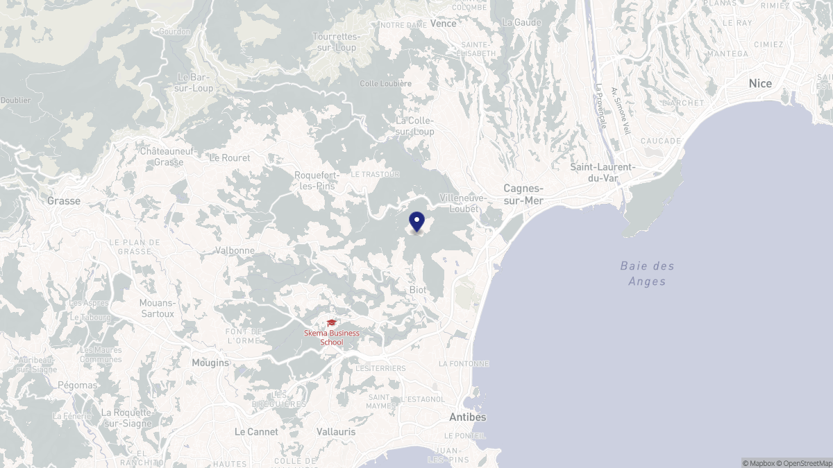 Aperçu cartographique de Villeneuve-Loubet, centré sur la commune