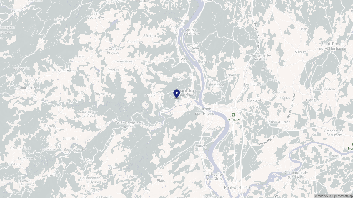 Aperçu cartographique de Saint-Jean-de-Muzols, centré sur la commune