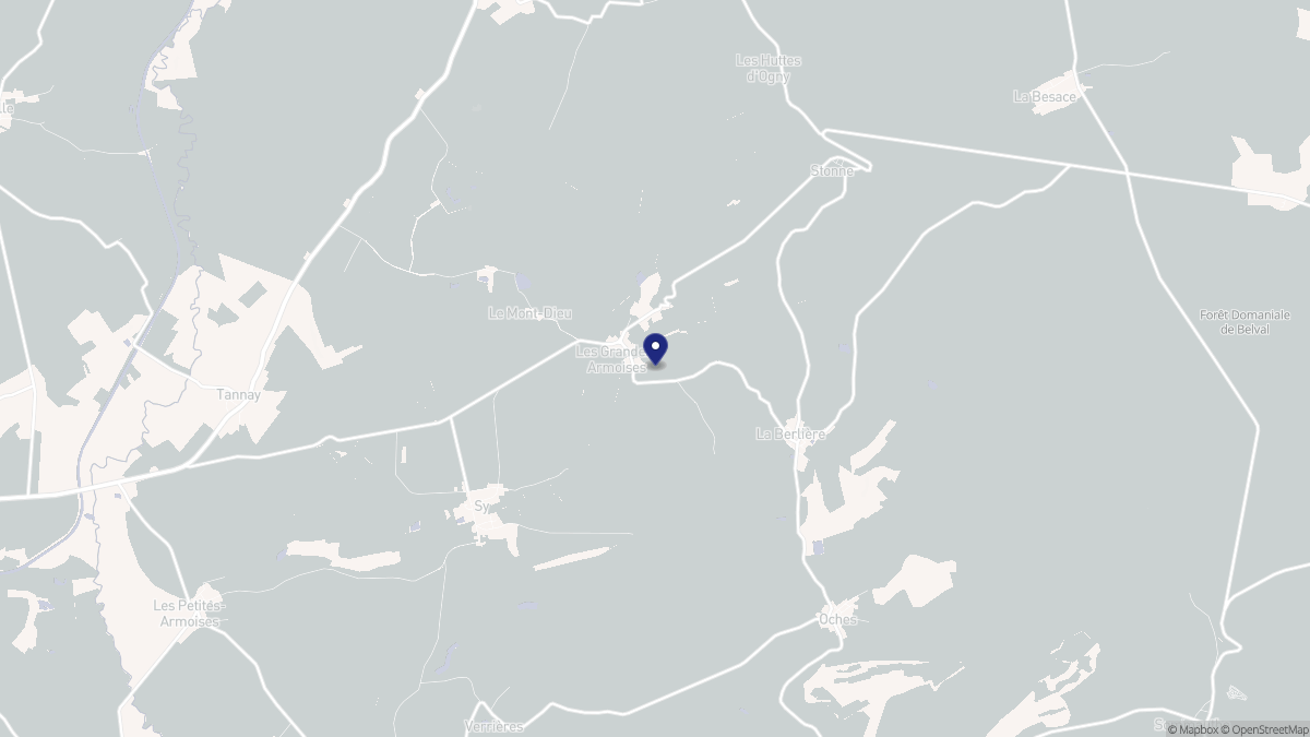 Aperçu cartographique de Les Grandes-Armoises, centré sur la commune