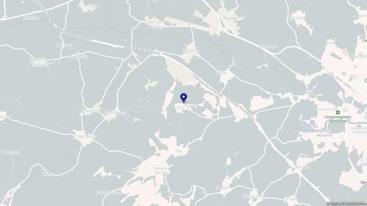 Aperçu cartographique de Sury, centré sur la commune