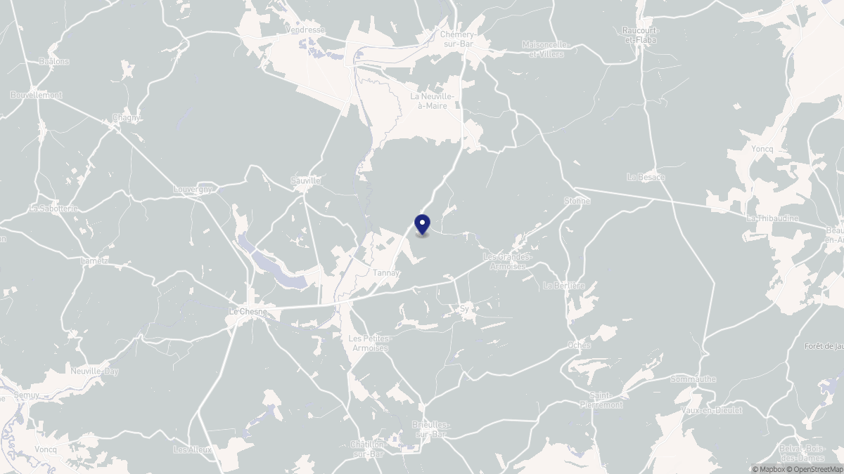 Aperçu cartographique de Tannay-le-Mont-Dieu, centré sur la commune