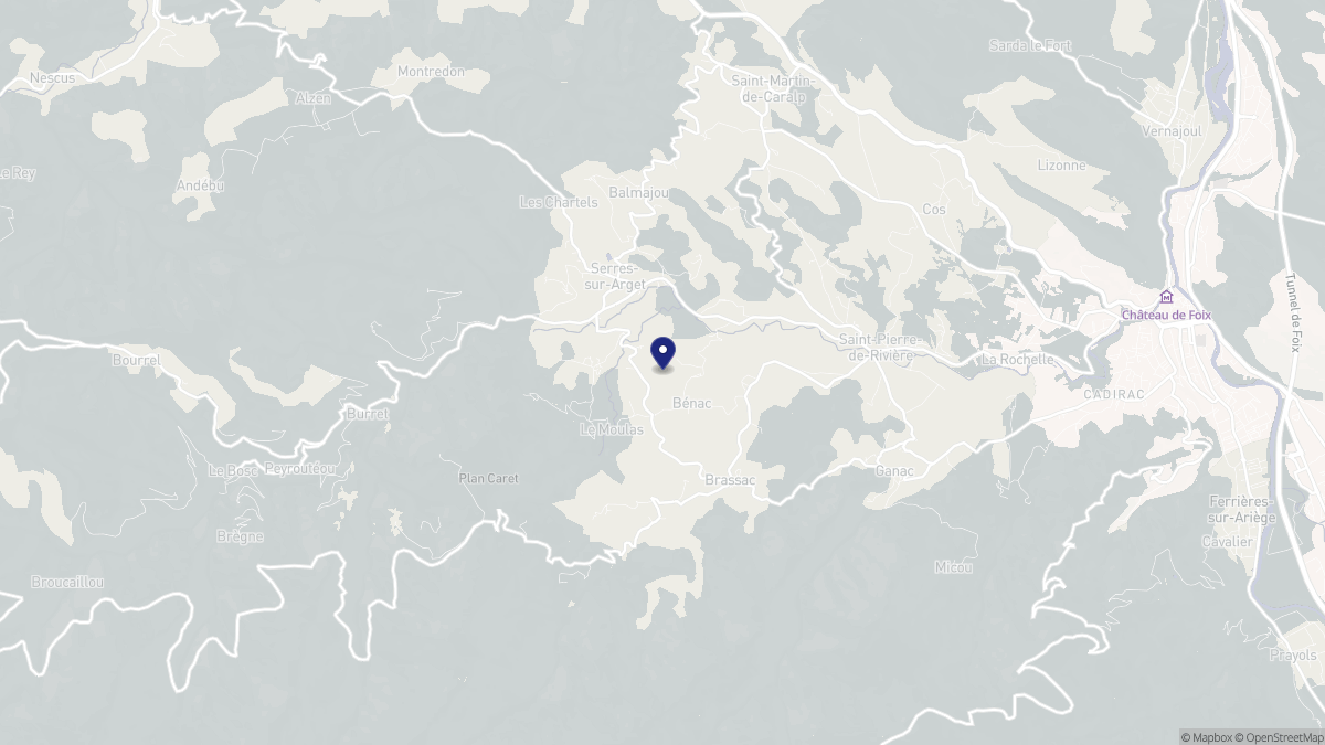 Aperçu cartographique de Bénac, centré sur la commune