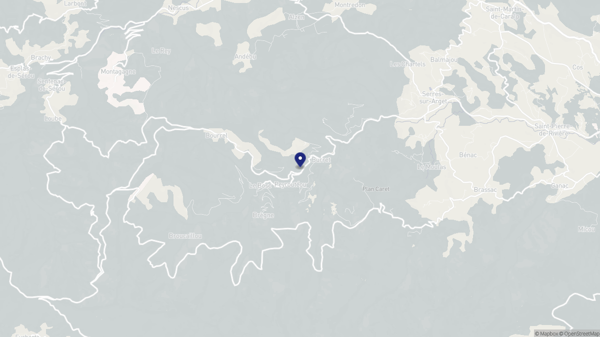 Aperçu cartographique de Burret, centré sur la commune