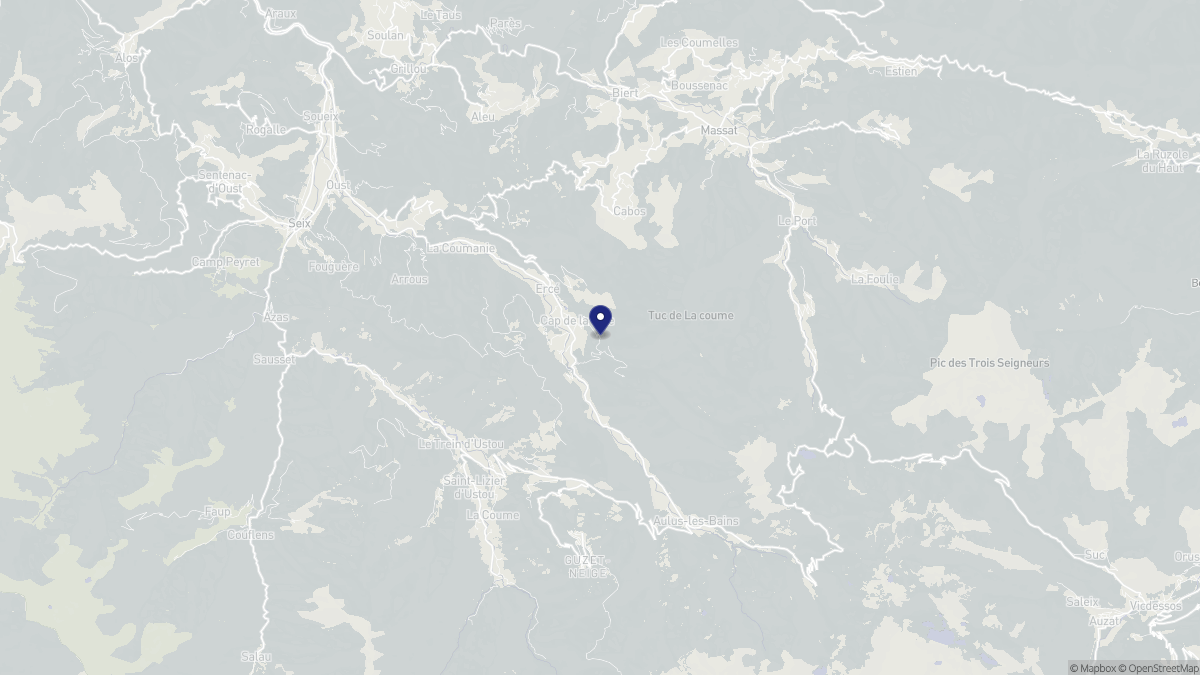 Aperçu cartographique de Ercé, centré sur la commune