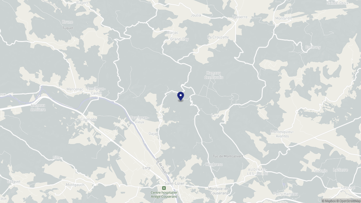 Aperçu cartographique de Gajan, centré sur la commune