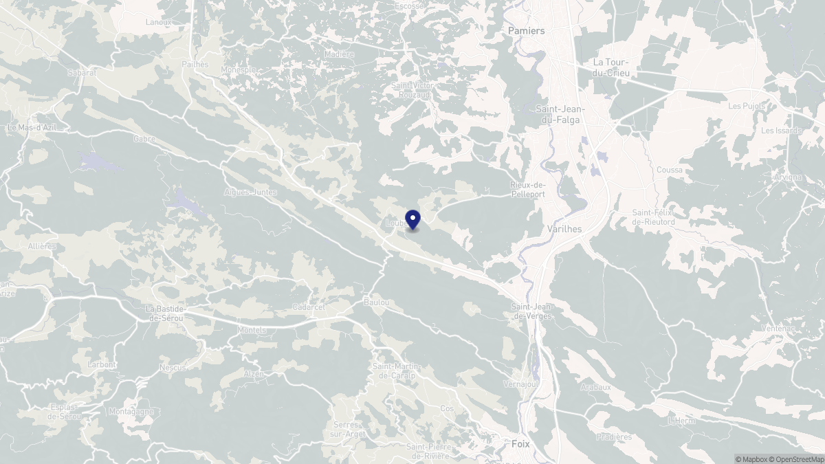 Aperçu cartographique de Loubens, centré sur la commune