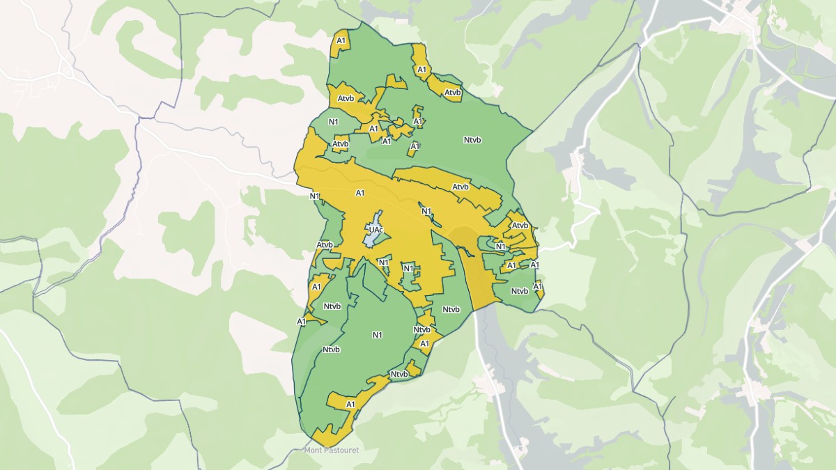 Aperçu cartographique de Malléon, centré sur la commune