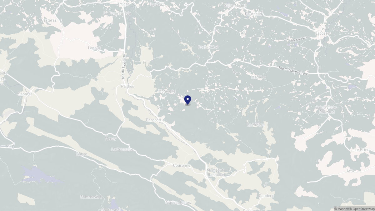 Aperçu cartographique de Monesple, centré sur la commune