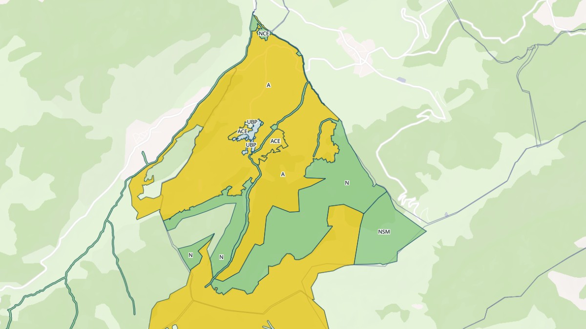 Aperçu cartographique de Montaillou, centré sur la commune
