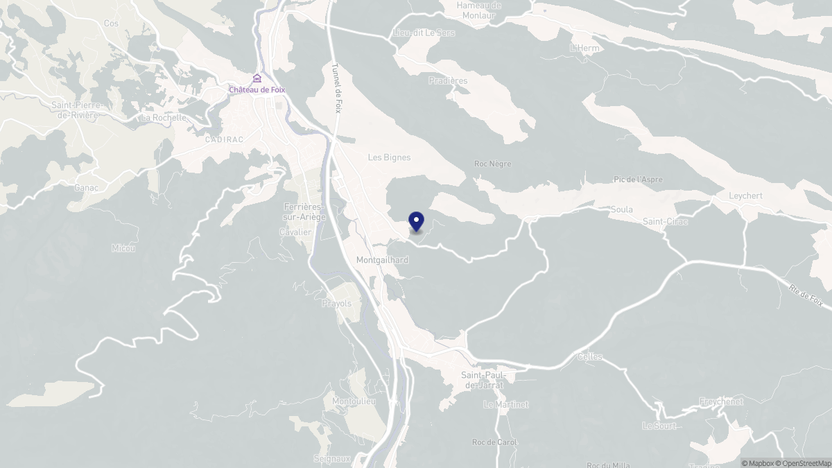 Aperçu cartographique de Montgailhard, centré sur la commune