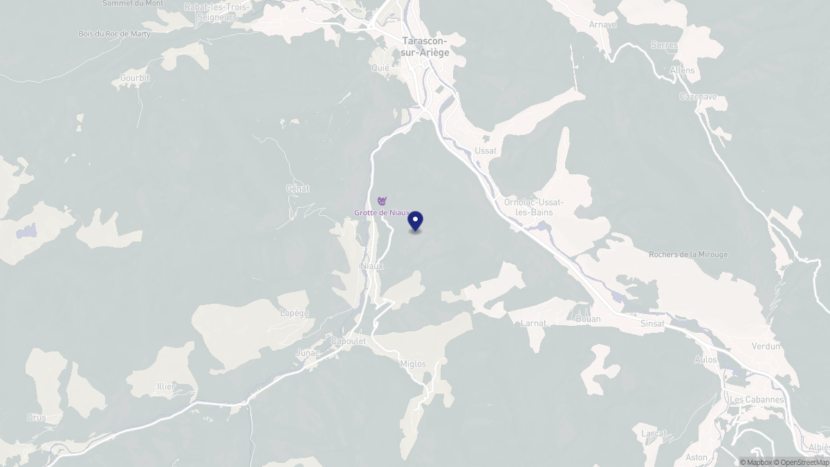 Aperçu cartographique de Niaux, centré sur la commune