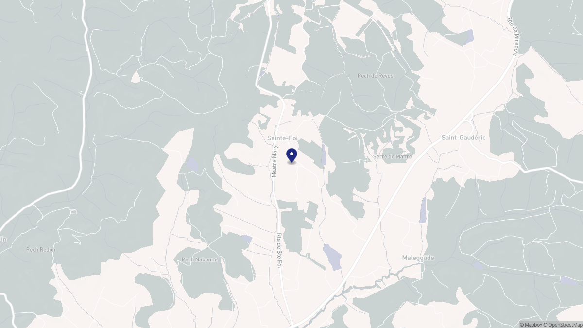Aperçu cartographique de Sainte-Foi, centré sur la commune