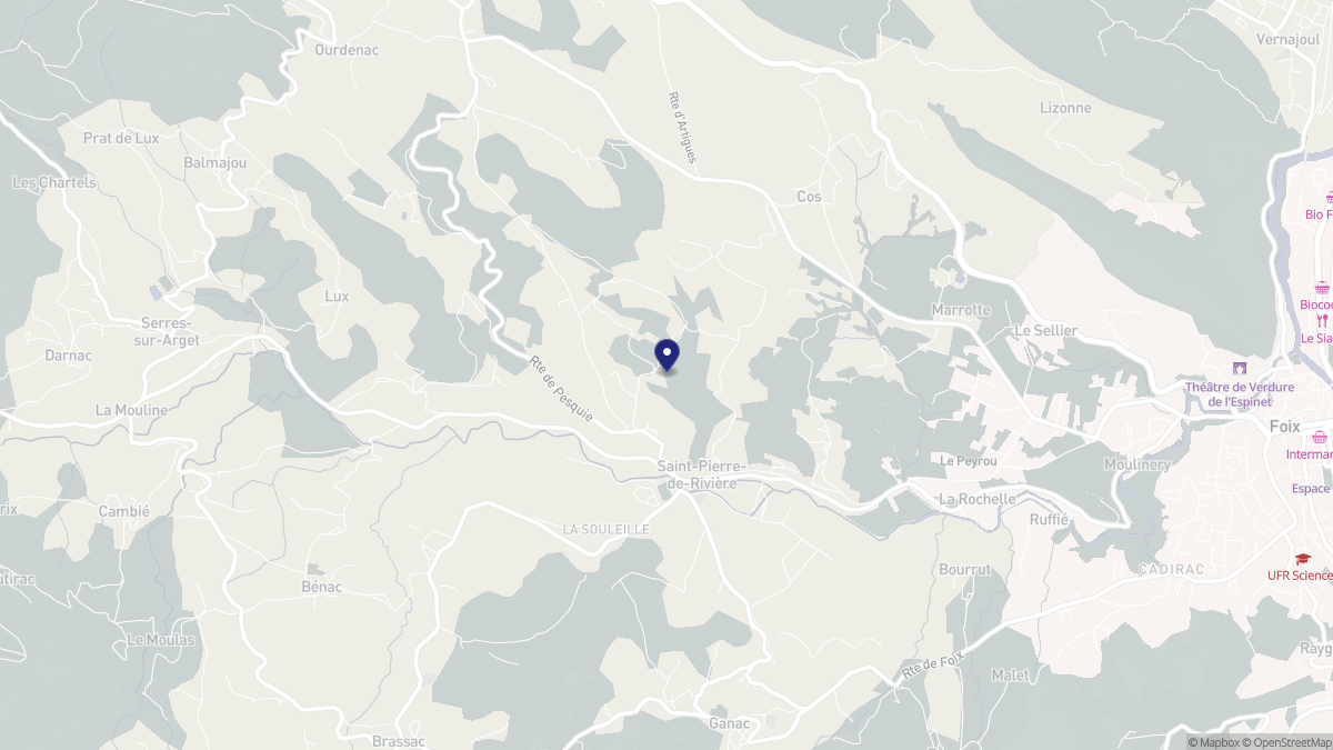 Aperçu cartographique de Saint-Pierre-de-Rivière, centré sur la commune
