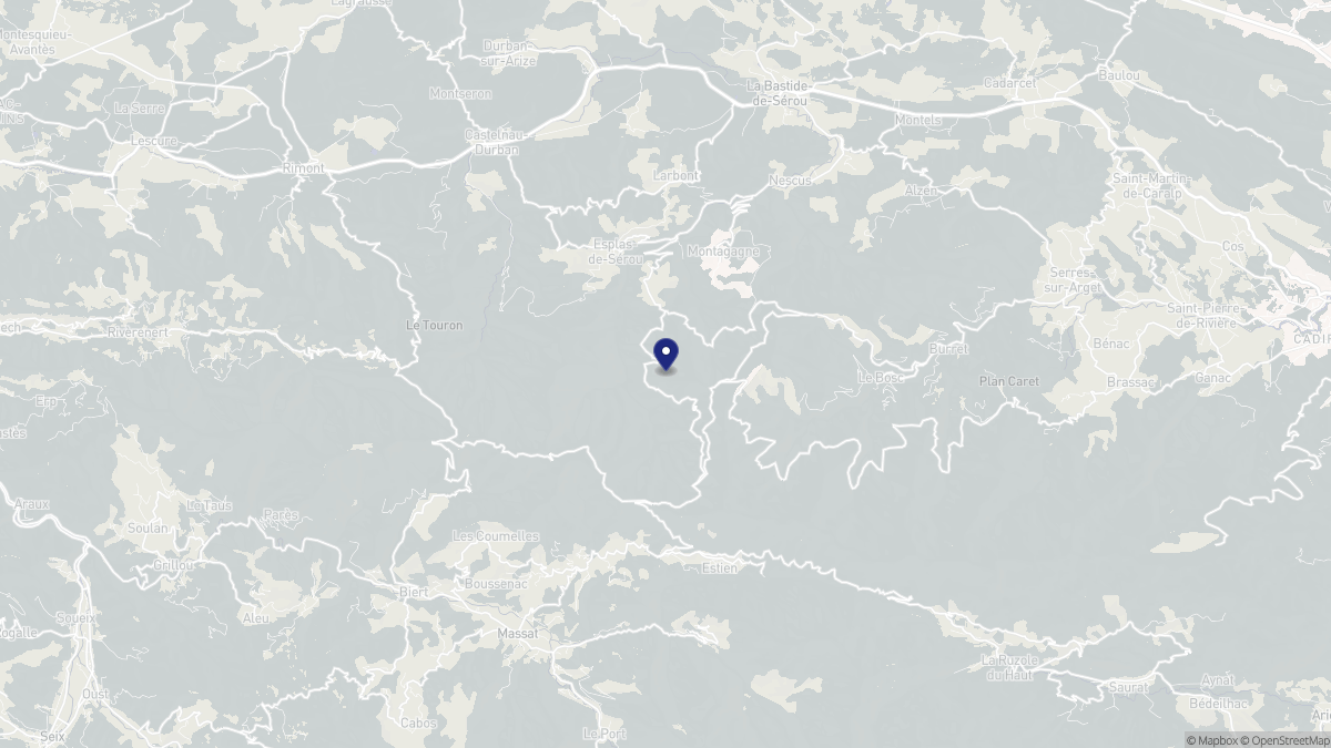 Aperçu cartographique de Sentenac-de-Sérou, centré sur la commune