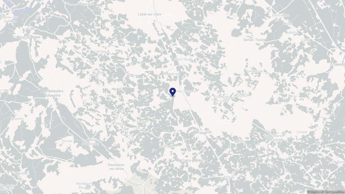 Aperçu cartographique de Sainte-Suzanne, centré sur la commune