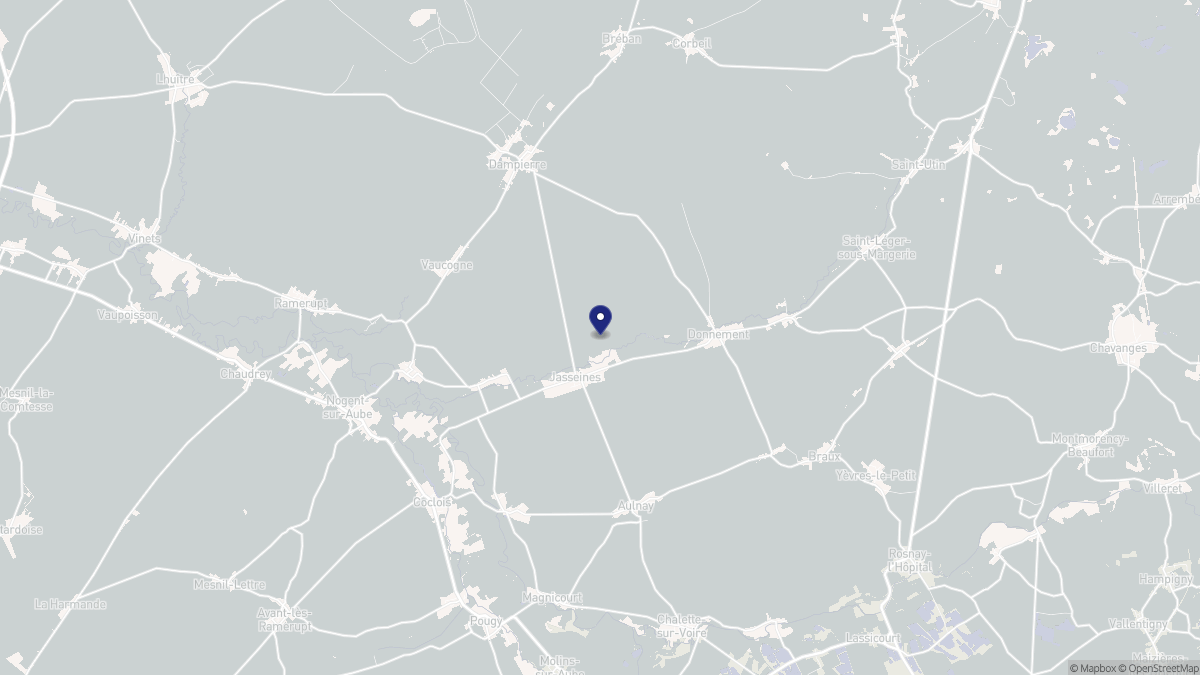 Aperçu cartographique de Jasseines, centré sur la commune