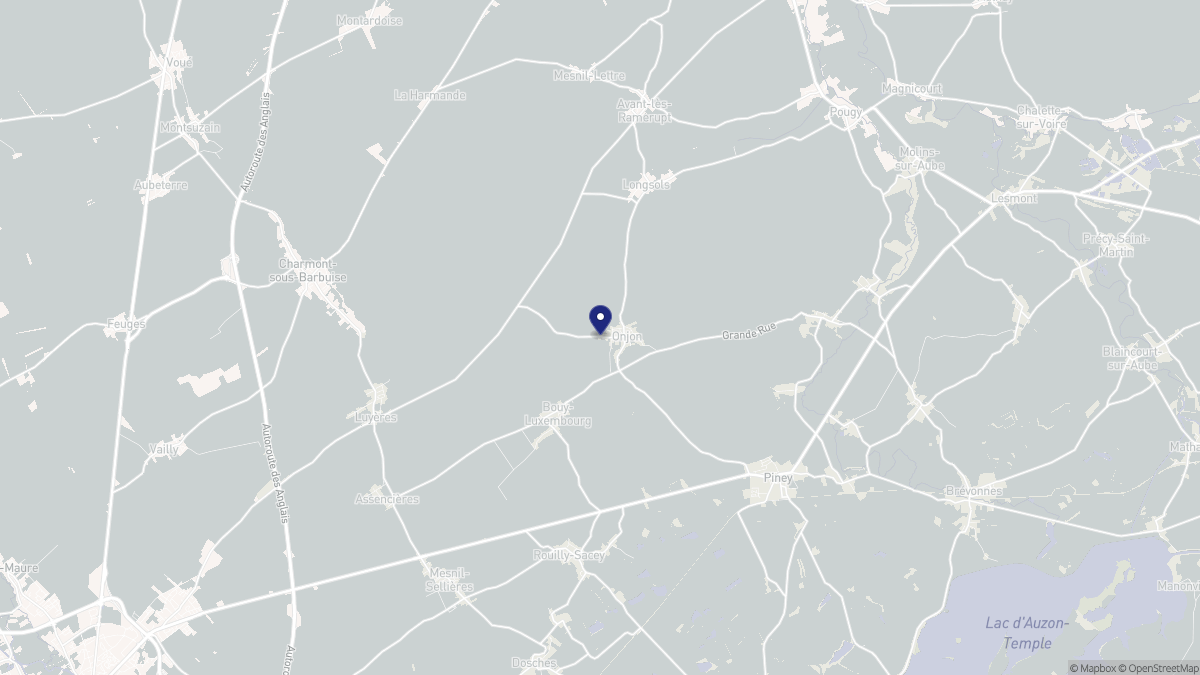 Aperçu cartographique de Onjon, centré sur la commune