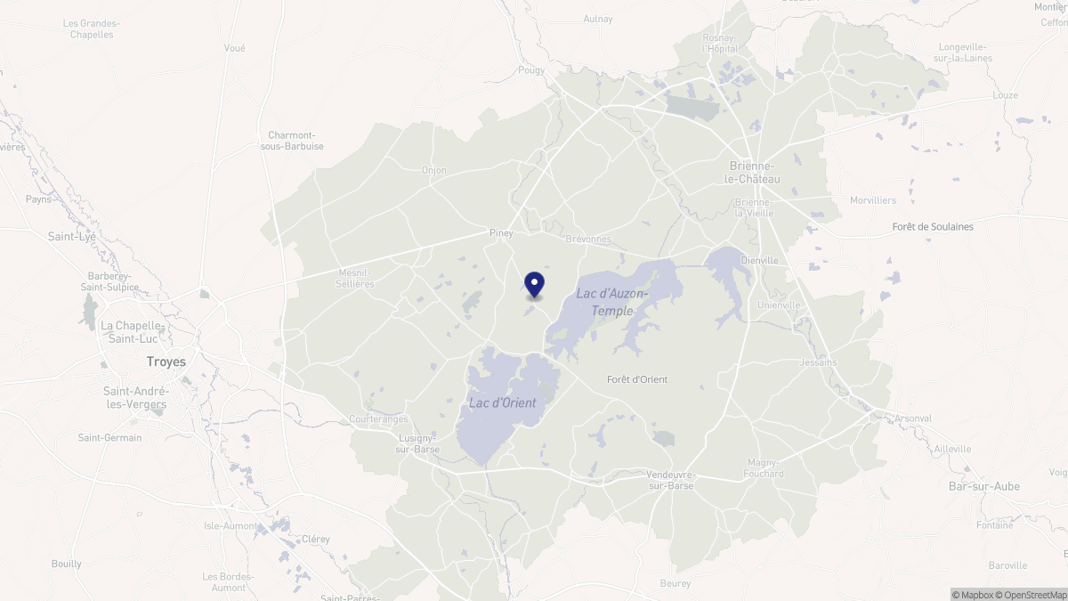 Aperçu cartographique de Piney, centré sur la commune