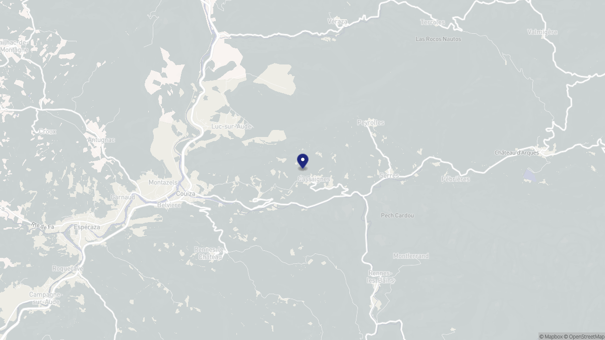 Aperçu cartographique de Cassaignes, centré sur la commune