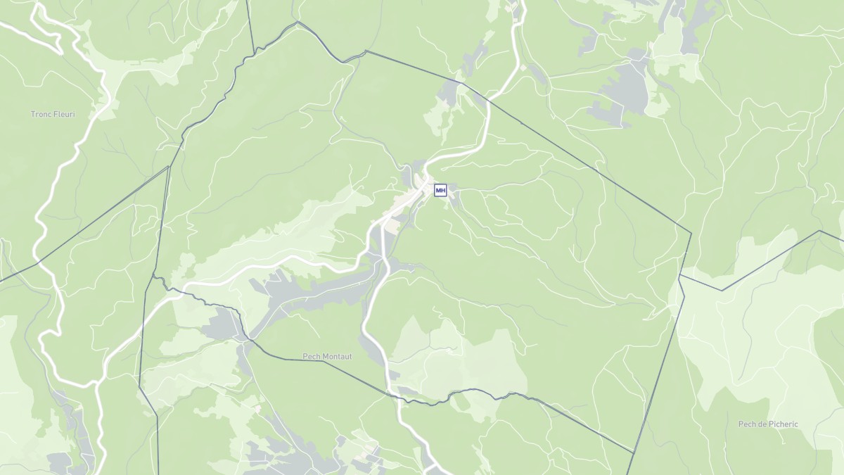 Aperçu cartographique de Félines-Termenès, centré sur la commune