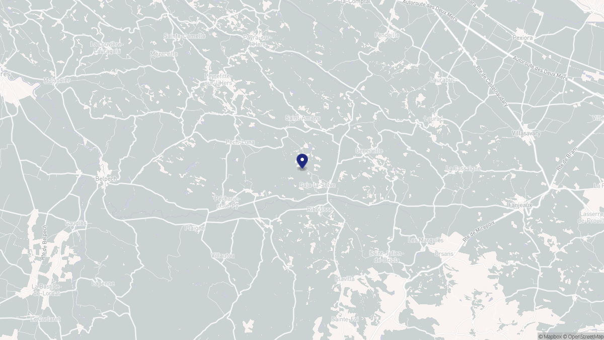 Aperçu cartographique de Gaja-la-Selve, centré sur la commune