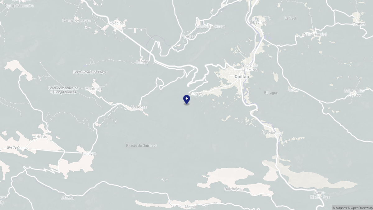 Aperçu cartographique de Ginoles, centré sur la commune