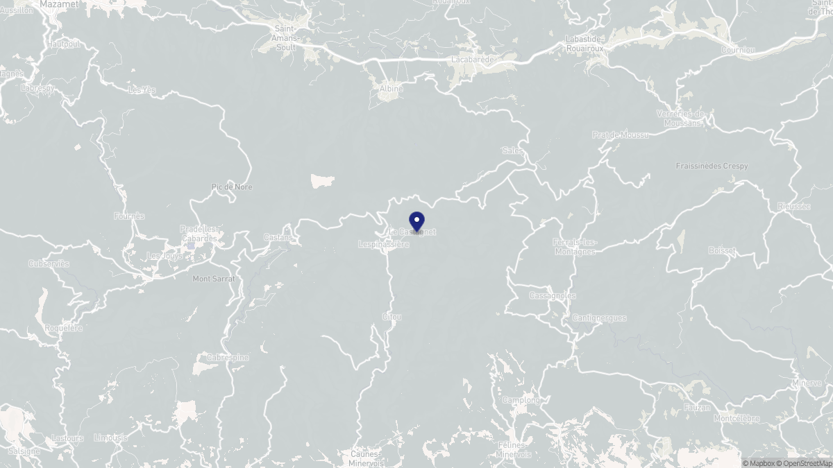 Aperçu cartographique de Lespinassière, centré sur la commune