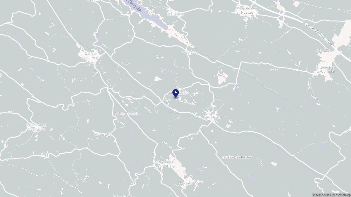 Aperçu cartographique de Montauriol, centré sur la commune