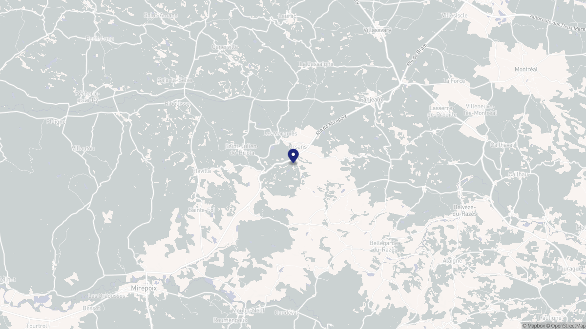 Aperçu cartographique de Orsans, centré sur la commune