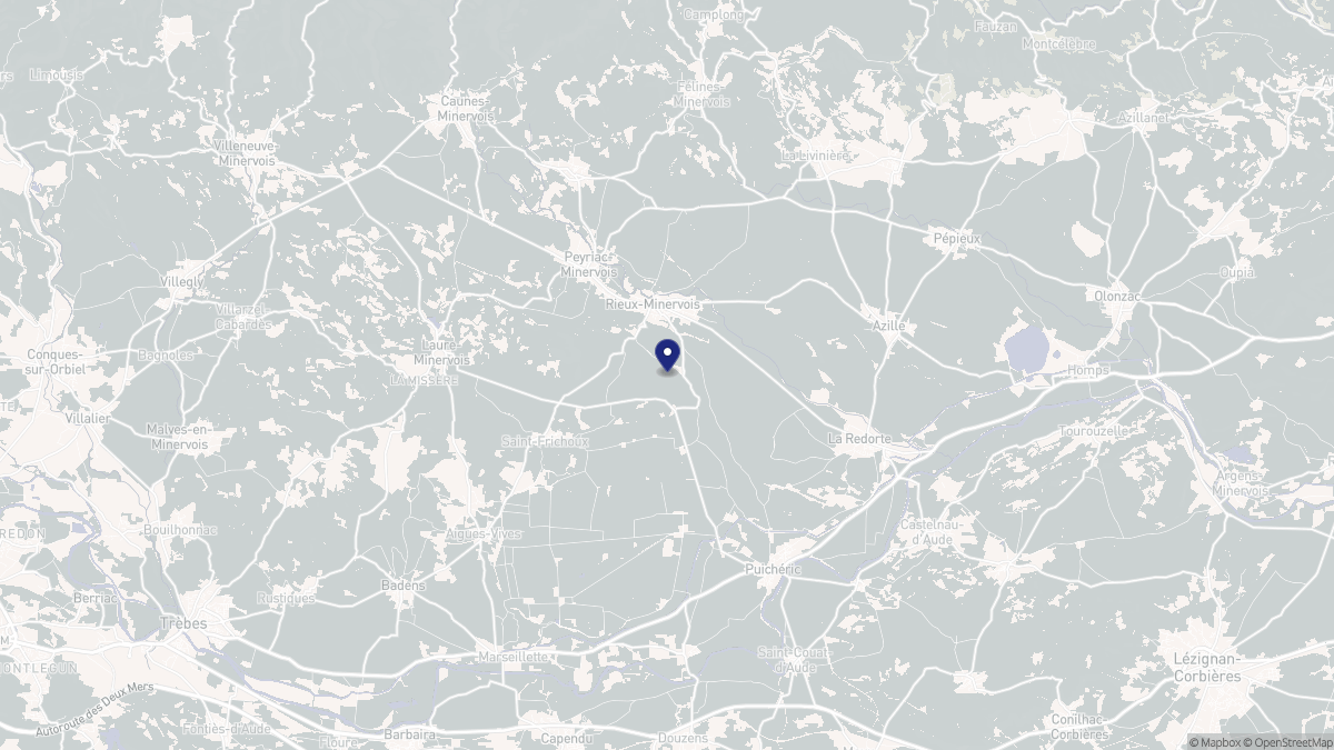 Aperçu cartographique de Rieux-Minervois, centré sur la commune