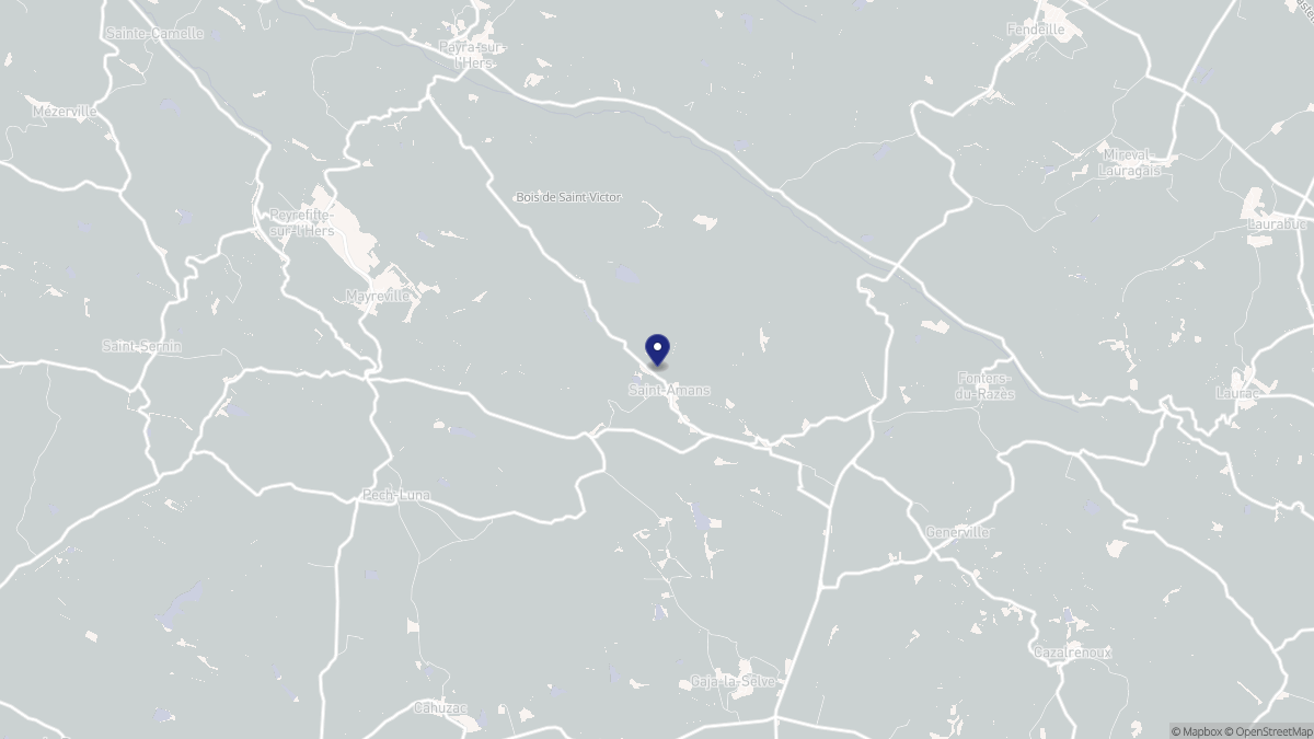 Aperçu cartographique de Saint-Amans, centré sur la commune