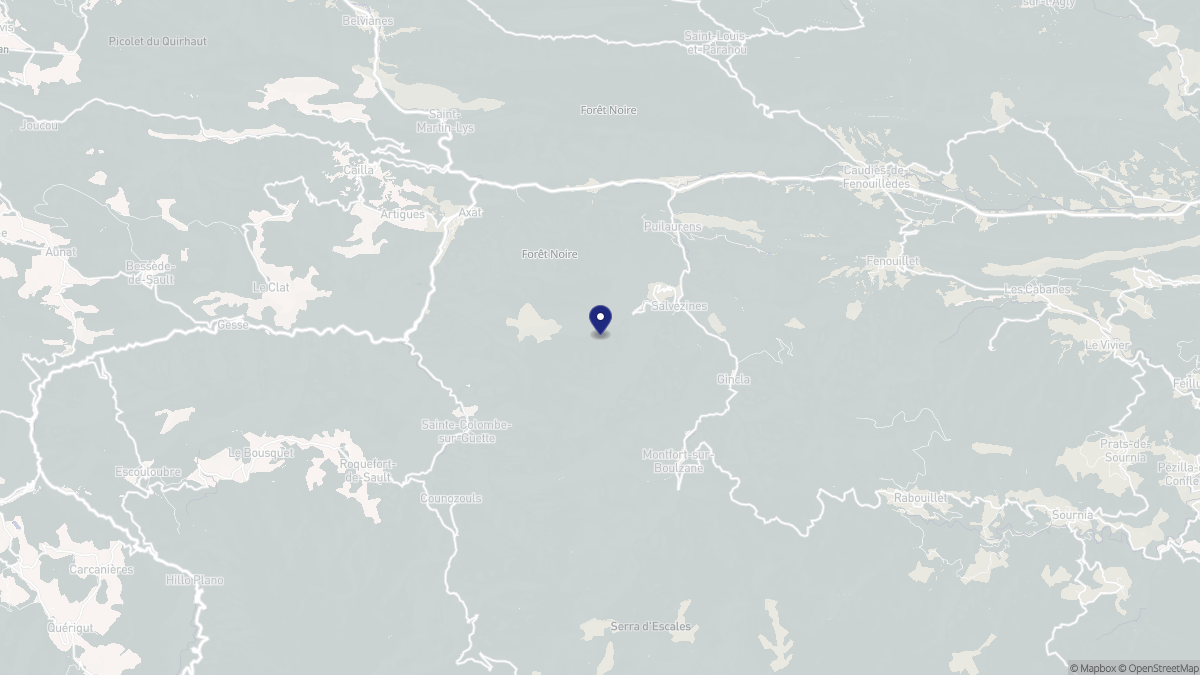 Aperçu cartographique de Salvezines, centré sur la commune
