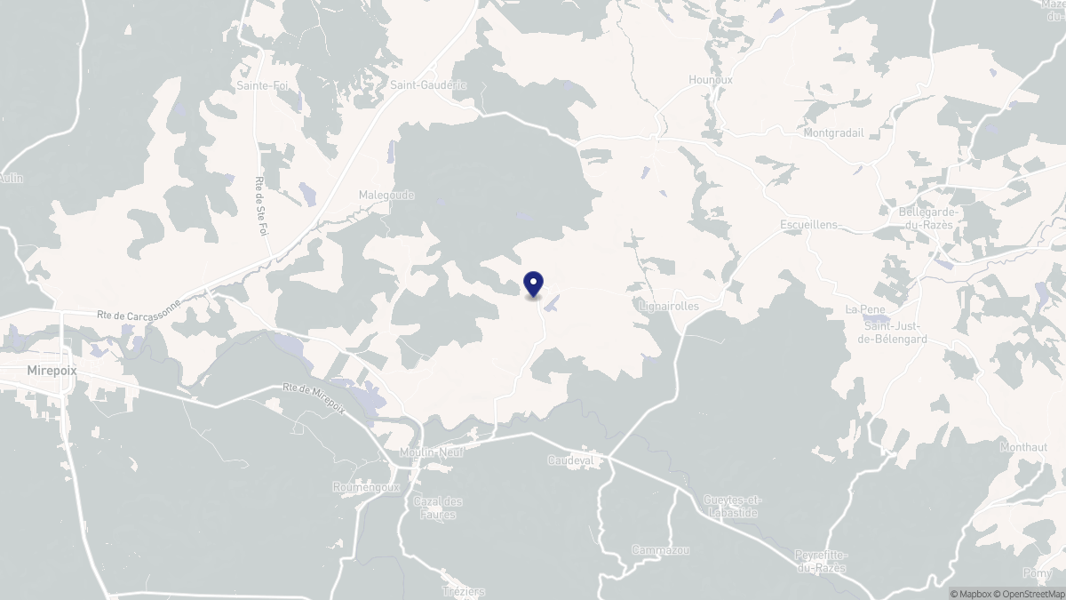 Aperçu cartographique de Seignalens, centré sur la commune