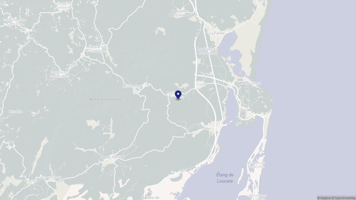 Aperçu cartographique de Treilles, centré sur la commune