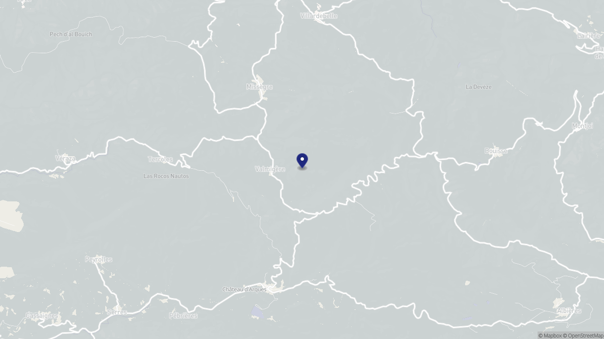 Aperçu cartographique de Valmigère, centré sur la commune