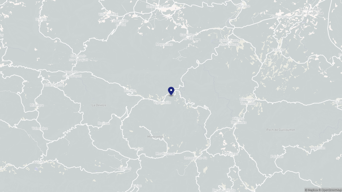 Aperçu cartographique de Vignevieille, centré sur la commune