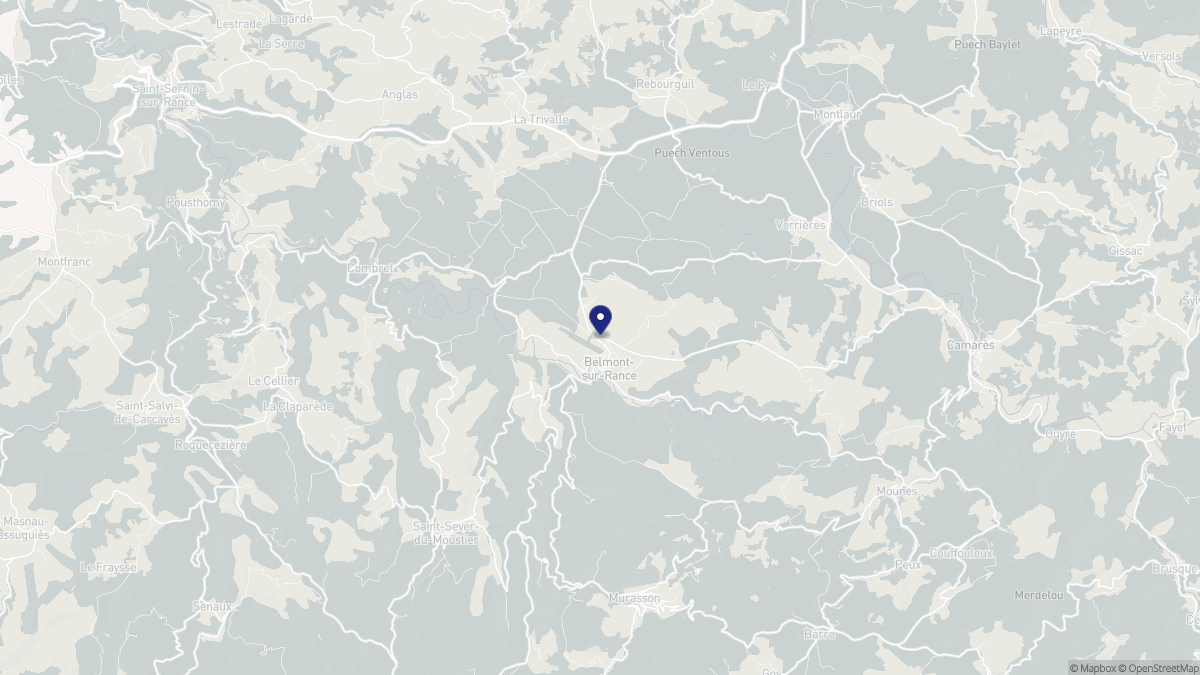Aperçu cartographique de Belmont-sur-Rance, centré sur la commune