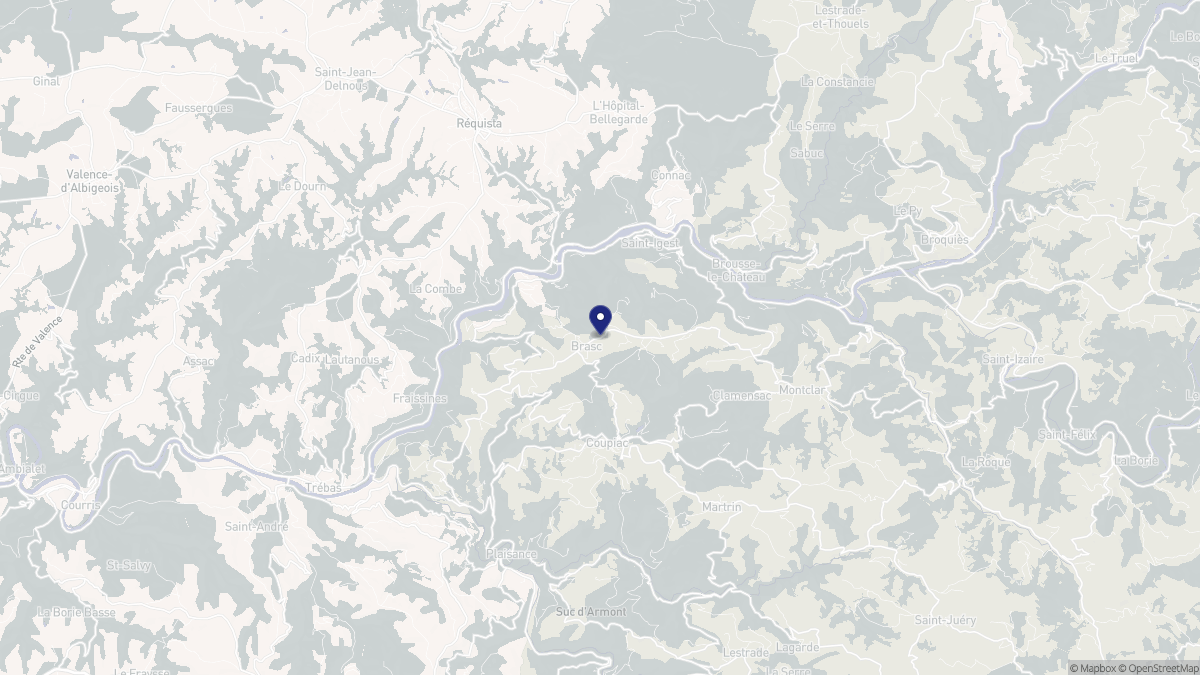 Aperçu cartographique de Brasc, centré sur la commune