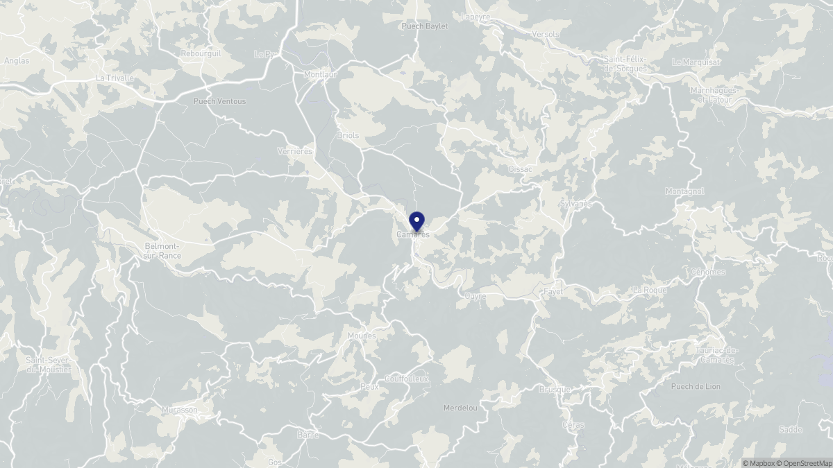 Aperçu cartographique de Camarès, centré sur la commune