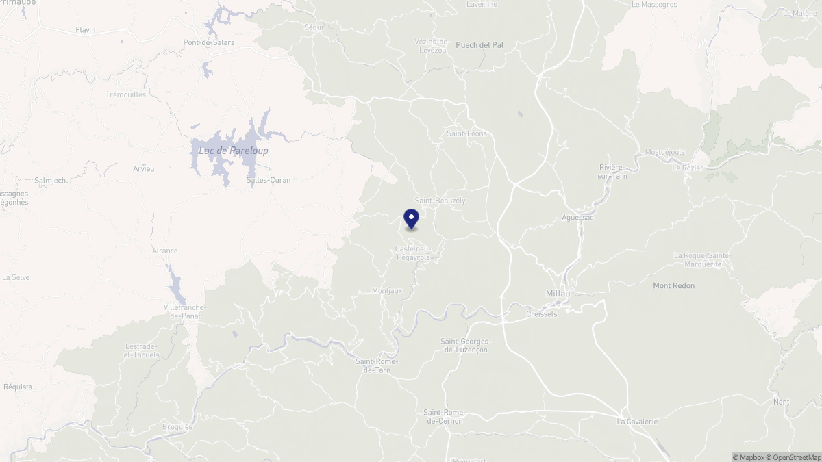Aperçu cartographique de Castelnau-Pégayrols, centré sur la commune