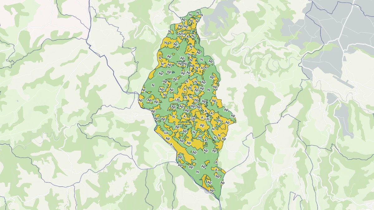 Aperçu cartographique de Laval-Roquecezière, centré sur la commune