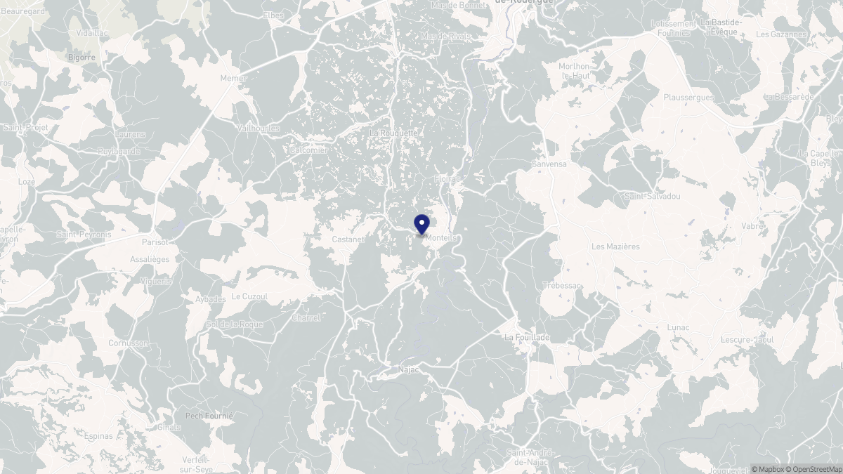 Aperçu cartographique de Monteils, centré sur la commune