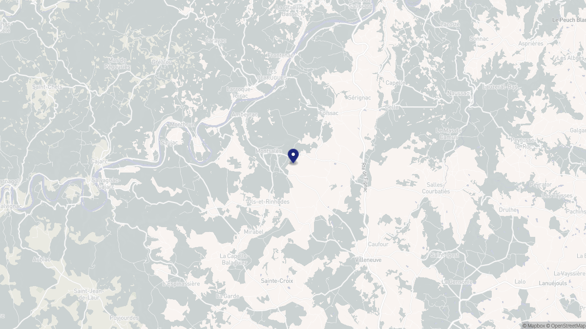 Aperçu cartographique de Montsalès, centré sur la commune
