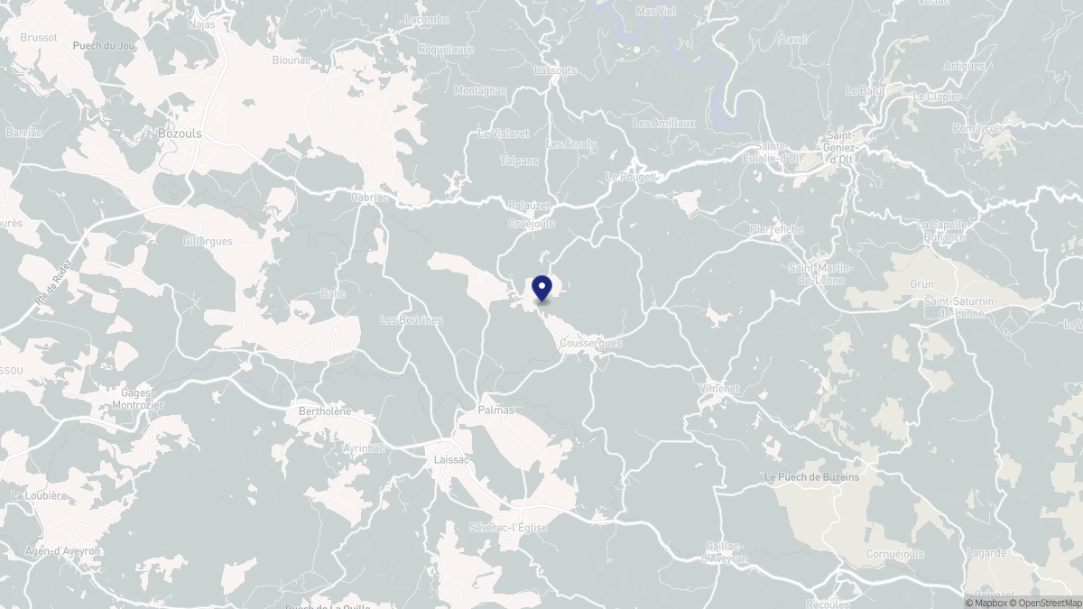 Aperçu cartographique de Palmas d'Aveyron, centré sur la commune