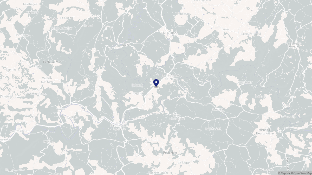 Aperçu cartographique de Saint-André-de-Najac, centré sur la commune
