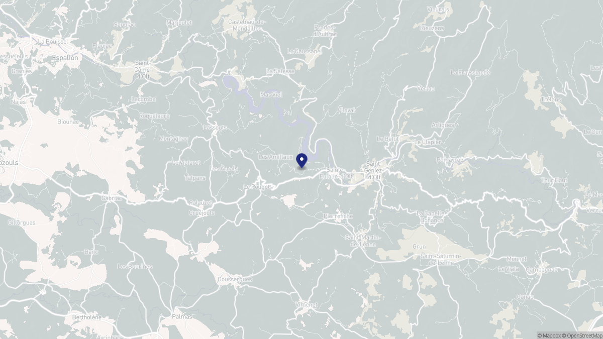 Aperçu cartographique de Sainte-Eulalie-d'Olt, centré sur la commune