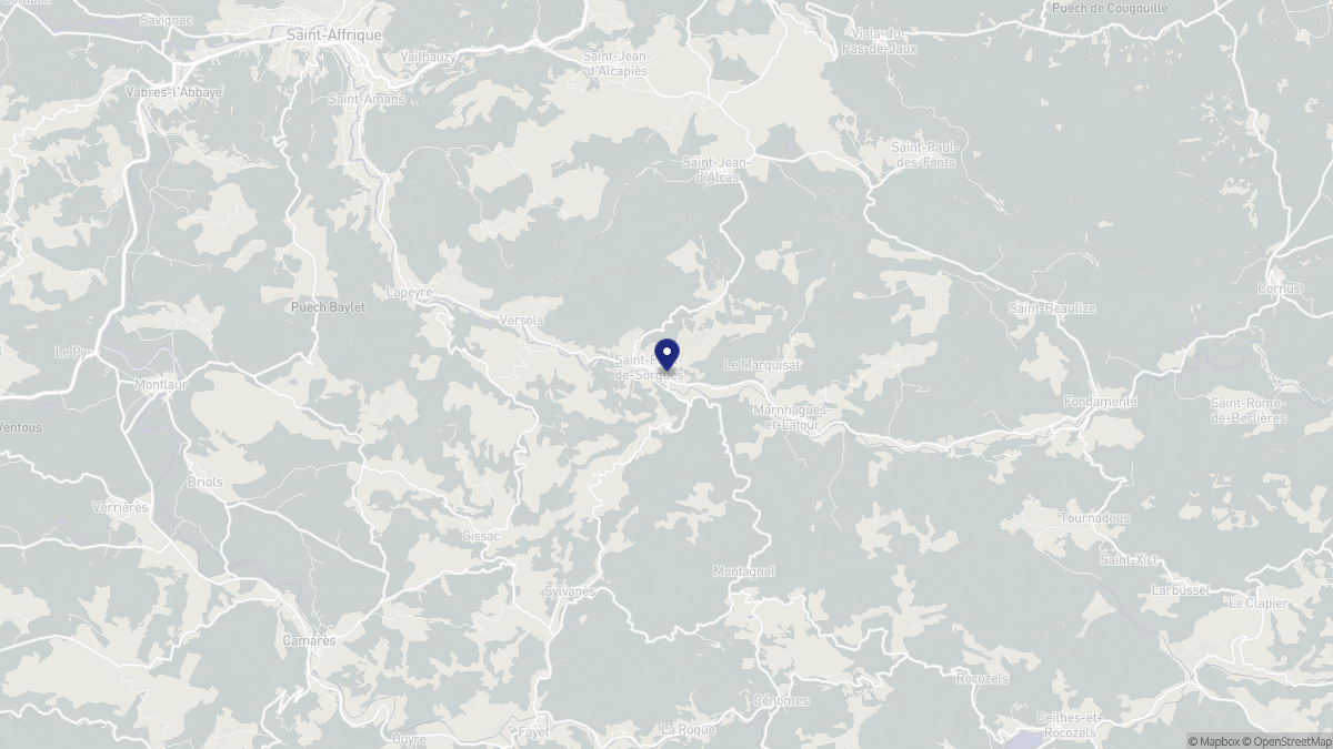 Aperçu cartographique de Saint-Félix-de-Sorgues, centré sur la commune