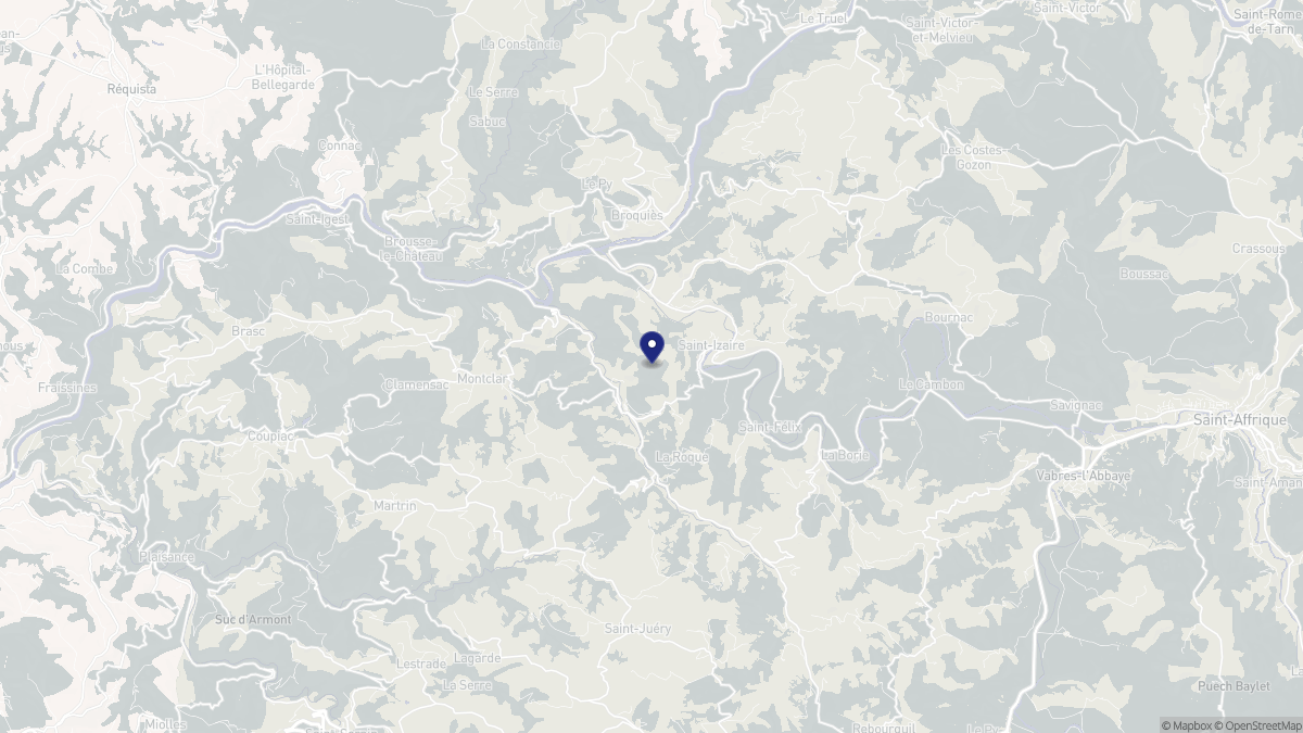 Aperçu cartographique de Saint-Izaire, centré sur la commune
