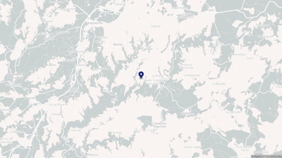 Aperçu cartographique de Sainte-Juliette-sur-Viaur, centré sur la commune